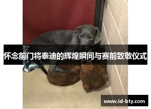 怀念前门将泰迪的辉煌瞬间与赛前致敬仪式