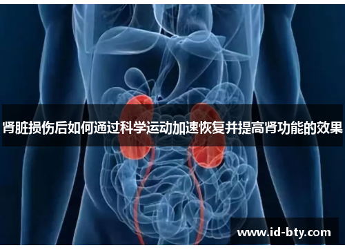 肾脏损伤后如何通过科学运动加速恢复并提高肾功能的效果