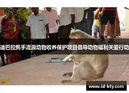 迪巴拉携手流浪动物收养保护项目倡导动物福利关爱行动