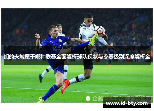 加的夫城属于哪种联赛全面解析球队现状与参赛级别深度解析全 加的夫城属于哪种联赛全面解析球队现状与参赛级别深度解析全